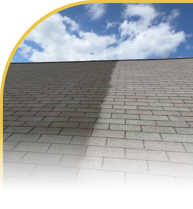roof rejuvenation photo of before and after application